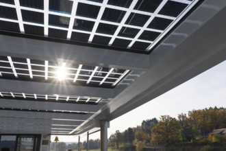 New electric ferry Klarisse with solar cells on the roof, Elbe ferry between Niederlommatzsch and