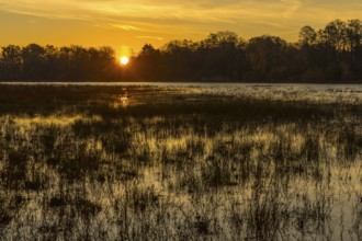 Sunrise on a large pond near the lighthouse in Moritzburg Castle Park, Saxony, Germany
