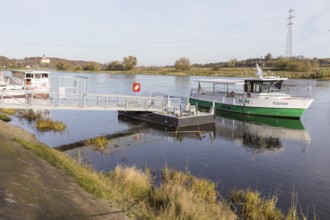 Klarisse electric ferry on the Elbe at Niederlommatzsch ferry terminal, Neuhirschstein Castle in