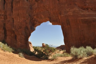 Pine Tree Arch, a sandstone arch in a desert landscape under blue sky, Arches National Park, Utah,