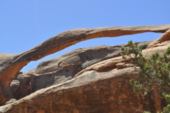 Large stone bridge, called Landscape Arch, in desert landscape with plants, Arches National Park,