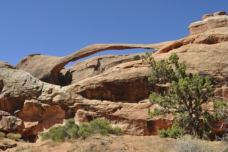 Landscape Arch, a natural stone bridge, with desert plants in the foreground, Arches National Park,