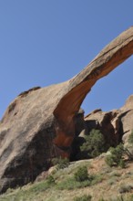 Detailed view of Landscape Arch, an impressive natural stone bridge, with some vegetation, Arches