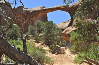 Double O Arch, a rock arch surrounded by vegetation in a dry desert landscape, Arches National