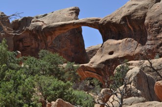 Impressive rock arch, called Double O Arch, with vegetation surrounded by rocky landscape, Arches
