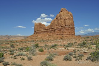 Large, eroded rock formation in a dry, open area of land, Arches National Park, Utah, USA