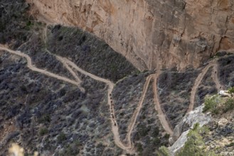 Grand Canyon National Park, Arizona - A mule train heads up the switchbacks on Bright Angel Trail