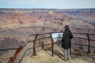 Grand Canyon National Park, Arizona. A visitor views the Grand Canyon from Mohave Point on the