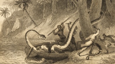 Men fighting with a giant snake, tropics, shore, fantasy picture, lake, monster, four men, axe,