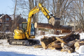 Excavator transporting a large, freshly cut log in a residential area, Lanaudiere region, province