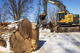Excavator moving in a residential area, Lanaudiere regon, province of Quebec, Canada