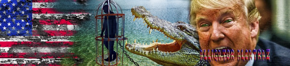 Symbolic image, Trump in deportation mania, Guantanamo, Alligator Alcatraz in Florida's Everglades,
