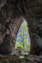 Zelske Jama cave, Rak river, Rakov Skocjan, Notranjska region, Slovenia