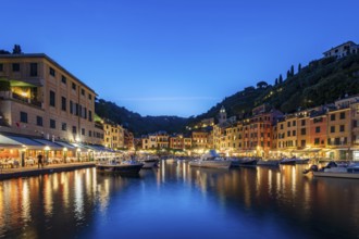 Boats in Portofino Harbour, Evening, Portofino, Liguria, Italy