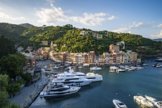 Boats and yachts in Portofino Harbour, Portofino, Liguria, Italy