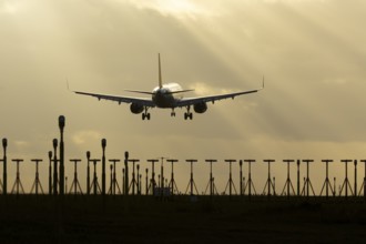 Airbus A321 commercial passenger airliner jet aircraft of Pegasus airlines flying on approach to