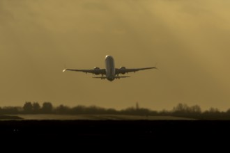 Airbus commercial passenger airliner jet aircraft taking off in flight silhouette at sunset at