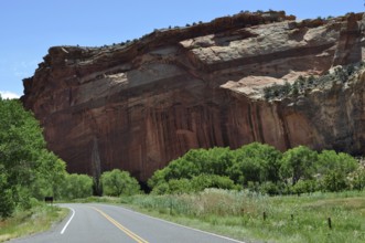 Country road along an imposing rock wall with trees, Fruita, Capitol Reef National Park, Utha, USA