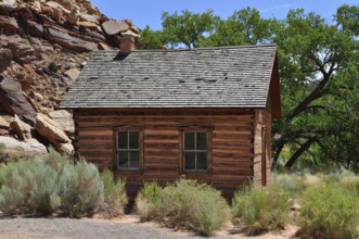 An old wooden cabin, old schoolhouse, between trees in a dry, summer landscape, Fruita, Capitol