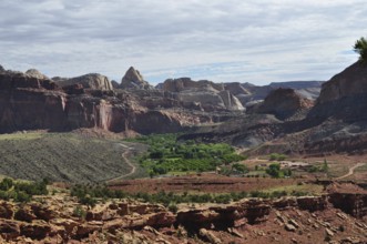 Extensive view of a canyon with green valleys and red mountains, Fruita, Capitol Reef National