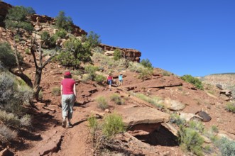 People hiking on a trail through a rocky desert landscape with red rocks, Capitol Reef National