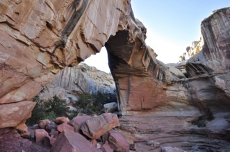Impressive rock arch with bright light below, surrounded by typical desert geology, Capitol Reef