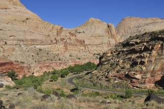 Road through winding gorge surrounded by rocks and some vegetation, Capitol Reef National Park,