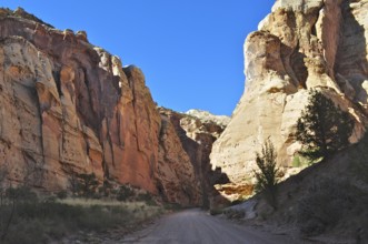 Dramatic gorge with narrow gravel road surrounded by tall rocks under clear skies, Capitol Reef