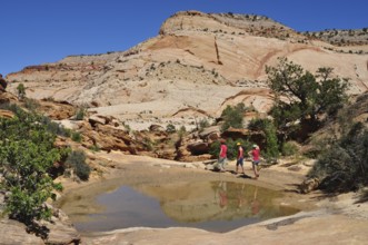 Three hikers explore rocky landscape with small water basin in bright skies, Capitol Reef National