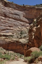 Gravel road through an imposing canyon with overwhelming red rock walls and deep shade, Capitol