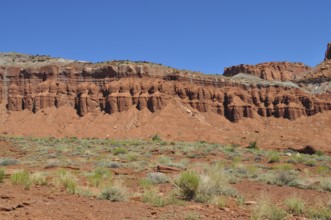Red rock formation with low desert vegetation, Capitol Reef National Park, Utha, USA