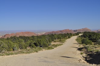 Gravel road through a dry desert landscape with red rocks and trees, Capitol Reef National Park,