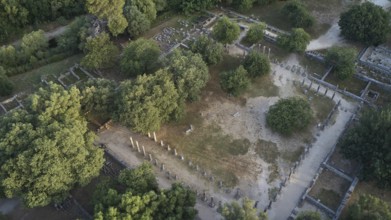 Palestra in morning light, ancient columns and ruins in the middle of a dense forest area, taken