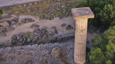 Column of the Temple of Zeus in morning light, close-up of a stone column on a ruined site