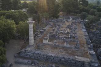 Temple of Zeus in backlight, archaeological remains with stone column and trees, in light of the