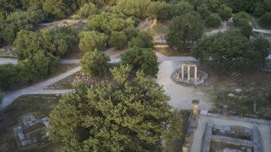 Soft morning light, Philippeion, part of the Temple of Hera, bird's eye view of ruins and trees,