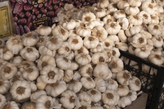 Fresh Garlic for sale in Turkish Bazaar in Ankara