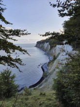 View through trees of a steep coast with chalk cliffs and views of the gentle sea, Jasmund National