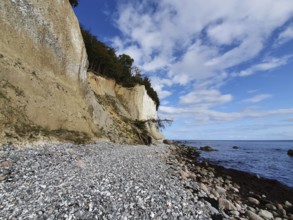 Pebble beach on cliffs on chalk cliffs under a slightly cloudy sky, Jasmund National Park, Rügen,