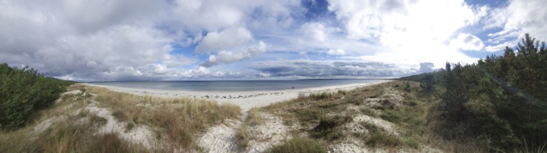 Panorama Extensive sandy beach with overgrown dunes and wide sky, Rügen, Baltic Sea