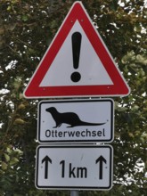 Traffic sign with otter warning (lutra lutra) on a road with trees in the background, Baltic Sea