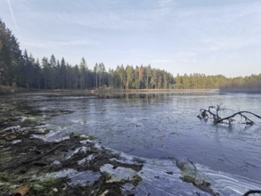 Frozen lake with surrounding forest and icy surface structures, hiking along the green belt,
