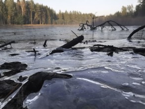Frozen lake with branches in the foreground, surrounded by wintry forest, Regina Lake, hiking on