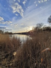 Calm lake at sunset surrounded by reeds and a cloudy sky, Berlin