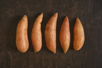 Five sweet potatoes are placed in a straight line on a dark surface. They vary slightly in size and