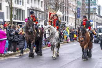 Rose Monday procession in Düsseldorf, group of horses at the street carnival, sometimes heavy rain,