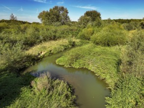 Datteln, North Rhine-Westphalia, Germany - Renatured Dattelner Mühlenbach just in front of flowing