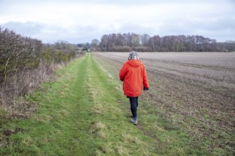 Person wearing bright orange coat walking along grassy path next to hedgerow and winter field,