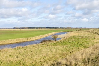 Drainage channel in low land, Boyton and Hollesley Marshes Nature Reserve, Boyton, Suffolk,