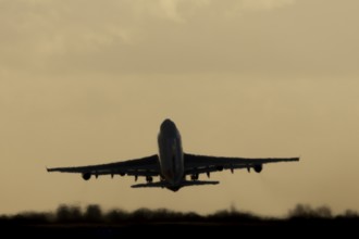 Boeing 747-400 jumbo jet LX-TCV commercial aircraft of Cargolux cargo taking off in flight